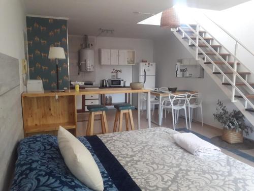 Monoambiente PANTER – Photos 2
