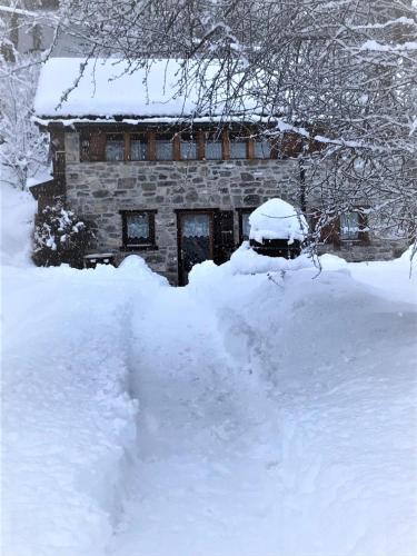 A l'orée du bisse v zimě