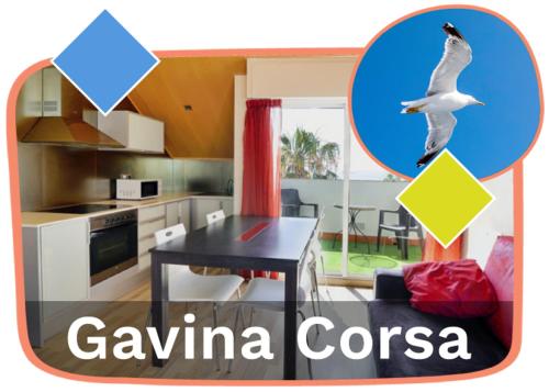 a bird flying over a kitchen and a dining table at Ornis Apartments Platja in Sant Carles de la Ràpita