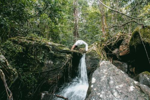a waterfall in the middle of a forest at Coconut Escapes in Kurunegala