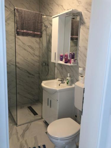 a bathroom with a toilet and a sink and a shower at Flat Stan Meša Selimović in Živinice