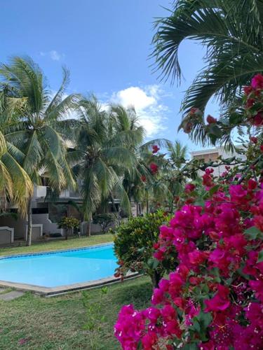 a resort swimming pool with pink flowers and palm trees at Ocean-view penthouse with roof terrace, Grand Baie, Waterside complex in The Vale