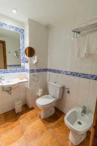 a bathroom with a toilet and a sink at Hotel Santo Domingo de Silos in Santo Domingo de Silos