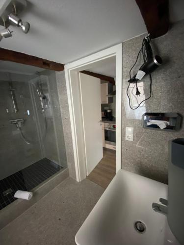 a bathroom with a shower and a white sink at Apartment Klara in Lübeck