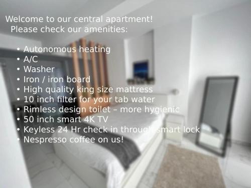 Modern 1-bedroom apartment in the city center