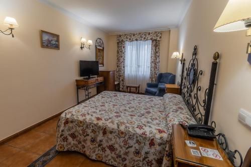a hotel room with a bed and a television at Hotel Santo Domingo de Silos in Santo Domingo de Silos