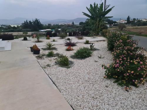 a garden with plants and flowers on a sidewalk at Eva Luxury Villa in Lachi