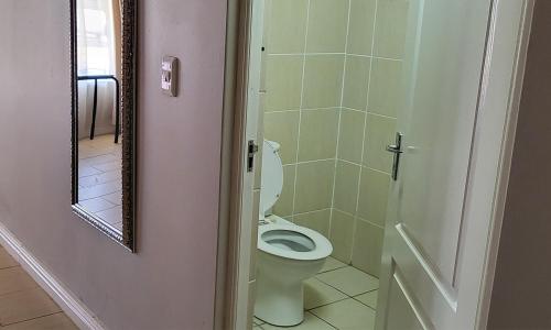 a bathroom with a toilet and a mirror at SHALIMAR GARDENS HOTEL in Cape Town