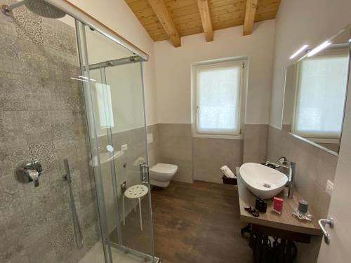 a bathroom with a shower and a sink and a toilet at La Terrazza sul Lago, GTSGroup in Tignale