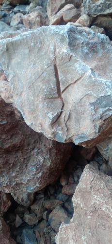 a rock with a bird on it sitting on some rocks at KASBAH Atlas-Aberdouz in Aït Hattab