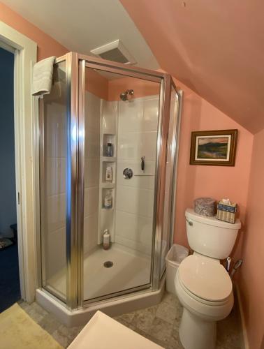 a bathroom with a shower and a toilet at Artful Lodging & Retreats in Montpelier