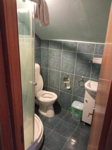 a bathroom with a toilet and a sink at Casa Spatar in Sibiu