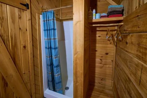 Gatlinburg Adventure Cabins photo 139