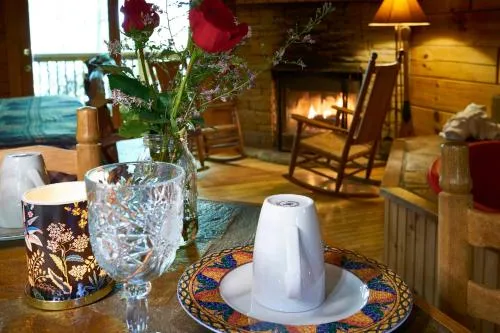 Gatlinburg Adventure Cabins photo 160