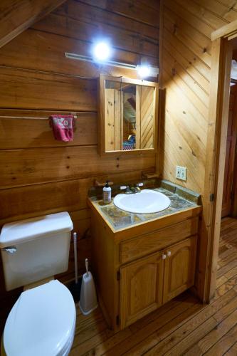 Ένα μπάνιο στο Gatlinburg Adventure Cabins