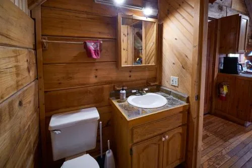 Gatlinburg Adventure Cabins photo 141