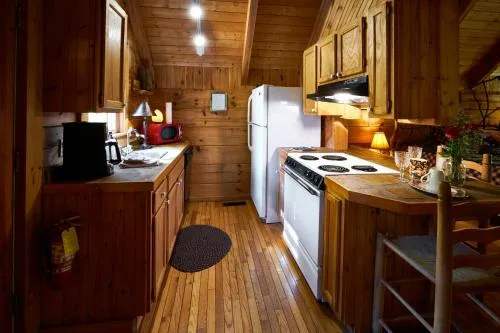 Gatlinburg Adventure Cabins photo 158