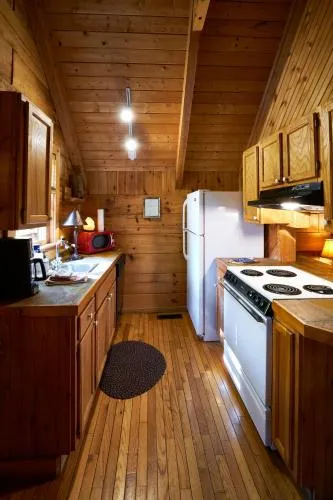 Gatlinburg Adventure Cabins photo 138