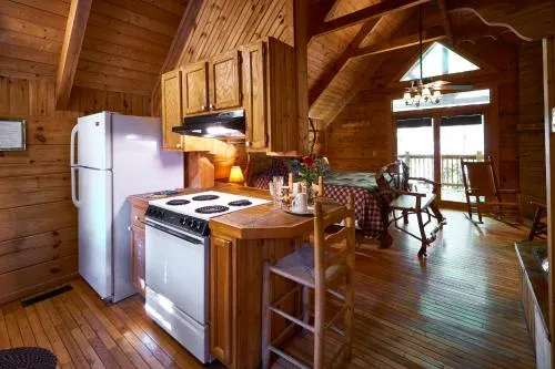 Gatlinburg Adventure Cabins photo 162
