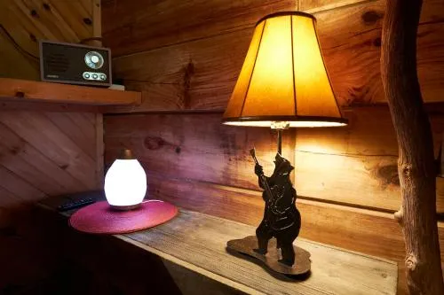 Gatlinburg Adventure Cabins photo 159