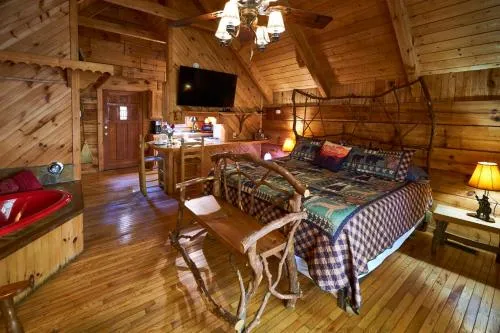 Gatlinburg Adventure Cabins photo 157