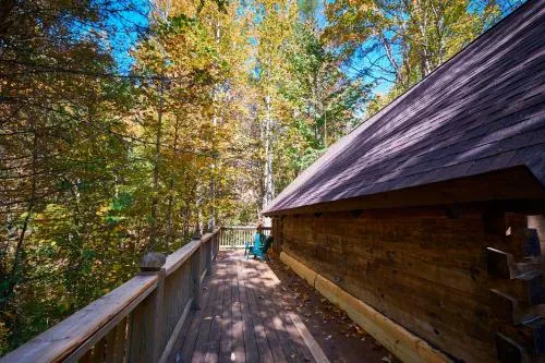 Gatlinburg Adventure Cabins photo 143