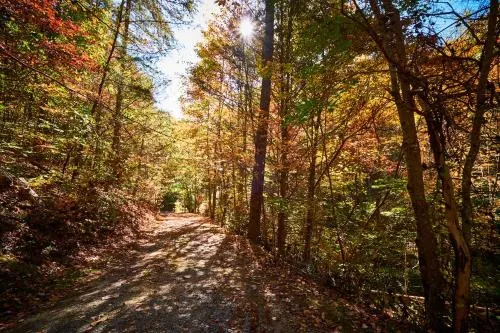 Gatlinburg Adventure Cabins photo 140