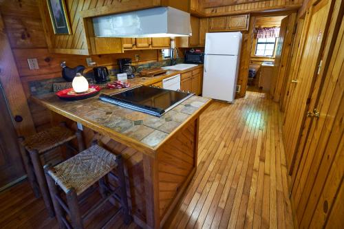 Η κουζίνα ή μικρή κουζίνα στο Gatlinburg Adventure Cabins