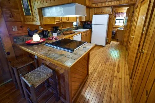 Gatlinburg Adventure Cabins photo 263