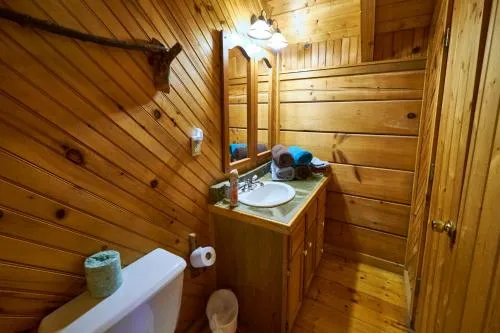 Gatlinburg Adventure Cabins photo 258