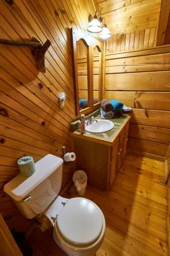 Gatlinburg Adventure Cabins photo 272
