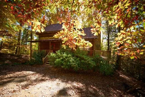 Gatlinburg Adventure Cabins photo 248