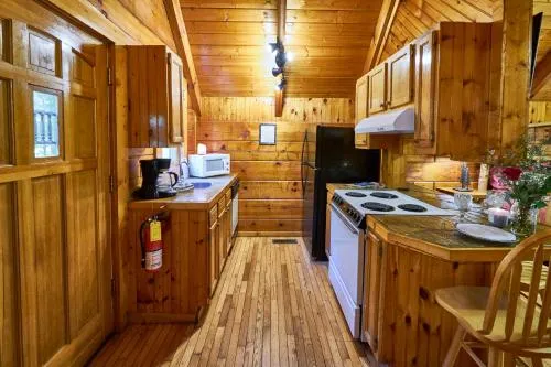 Gatlinburg Adventure Cabins photo 32