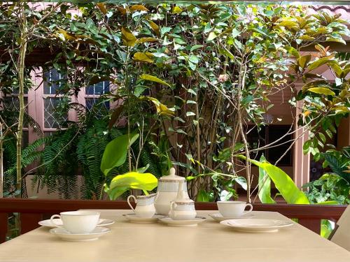 Zahrada ubytování Mom and Me Resort & Farm