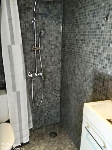 La salle de bains est pourvue d'une douche avec rideau de douche. dans l'établissement Avignon hyper centre:studio cosy et calme, à Avignon