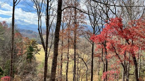 Misty Mountain Cottage – Photos 2