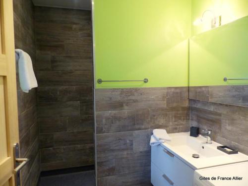 La salle de bains est pourvue d'un lavabo et d'une douche verte. dans l'établissement Gîte Agonges, 3 pièces, 4 personnes - FR-1-489-36, à Agonges