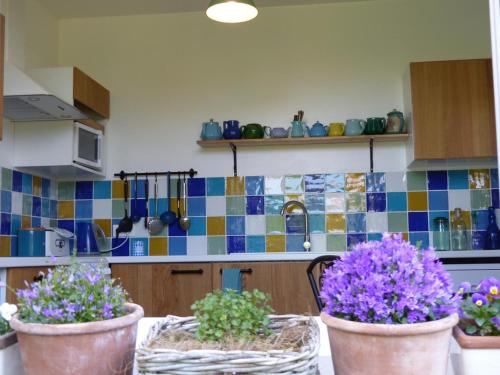 three potted plants sitting on a table in a kitchen at Maison de campagne idéale pour familles, cavaliers, animaux acceptés, avec jardin clos et tout équipé. - FR-1-489-172 in Barrais-Bussolles
