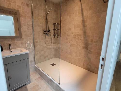 ein Bad mit einer Dusche und einem Waschbecken in der Unterkunft Gîte Hauterives, 2 pièces, 3 personnes - FR-1-489-203 in Hauterive