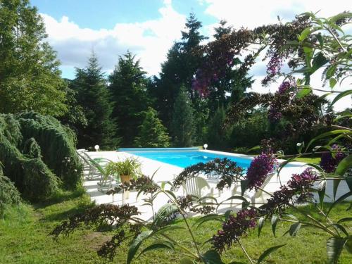 una piscina en un jardín con flores púrpuras en Gîte Moulins, 3 pièces, 5 personnes - FR-1-489-324 en Moulins