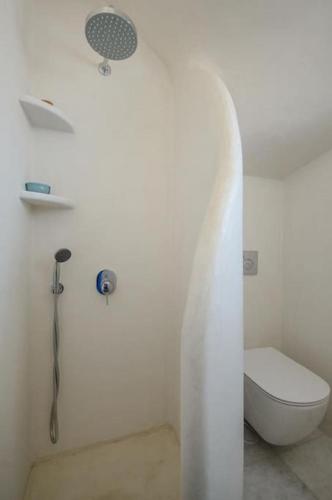 a white bathroom with a shower and a toilet at Blueberry Villa in Naxos Chora
