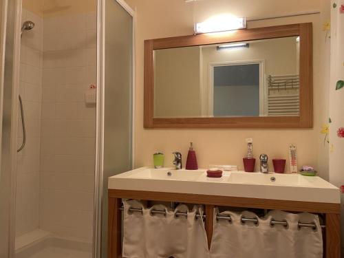 y baño con lavabo, espejo y ducha. en Gîte Le Mayet-de-Montagne, 3 pièces, 4 personnes - FR-1-489-375, en Mayet-de-Montagne