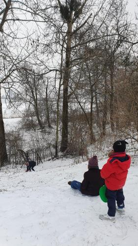 two children playing in the snow with a dog at Nasz Dębowiec - dom dla 15 osób, sauna, widok na staw, wielka działka in Dębowiec