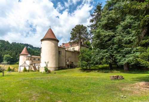 a castle on a grassy field with trees at Château de Pramenoux in Lamure-sur-Azergues