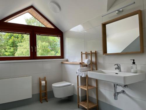 a bathroom with a sink and a toilet and a window at APARTMÁNY ŠÁRKA in Trojanovice