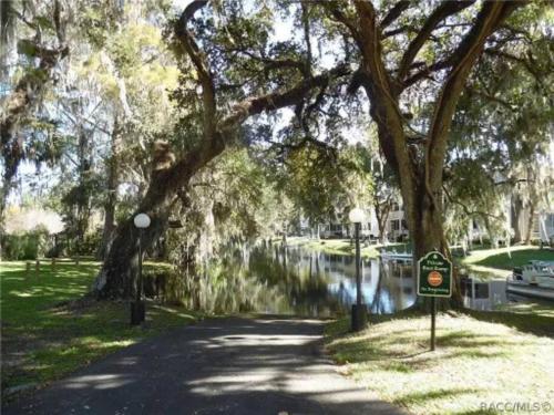 a path in a park with a river and trees at Cypress Cove Townhome on Canal in Inverness