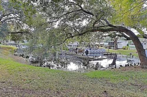 a pond with ducks in a park with a tree at Cypress Cove Townhome on Canal in Inverness