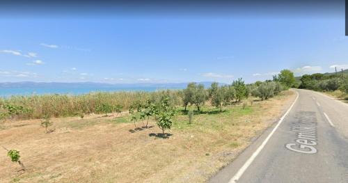 una strada vuota con alberi sul lato della strada di Iznik Jaktin House a Orhangazi