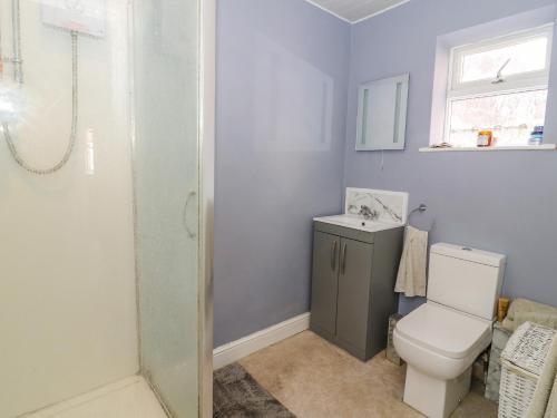 布里德靈頓的住宿－Cosy Coastal Holiday Let，浴室配有卫生间、盥洗盆和淋浴。