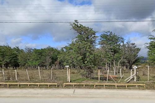 a field with a bunch of trees and a fence at Departamento con acceso independiente - English spoken in Punta Arenas